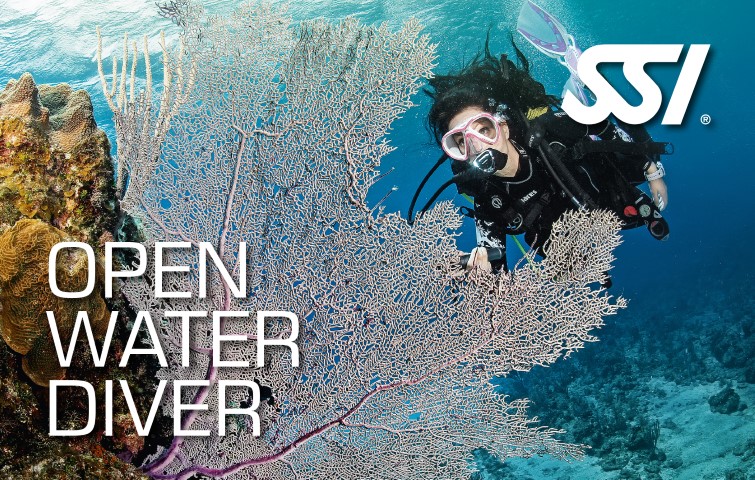 Decostop SSI Try Open Water Diver