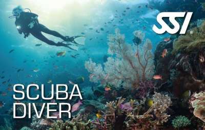 Decostop SSI Scuba Diver