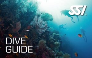 DECOSTOP SSI DIVE GUIDE