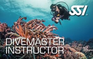 DECOSTOP SSI DIVEMASTER INSTRUCTOR