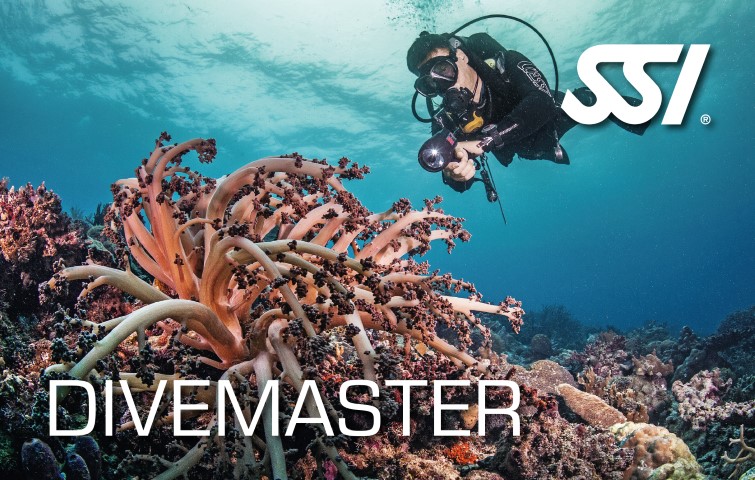 DECOSTOP SSI DIVEMASTER