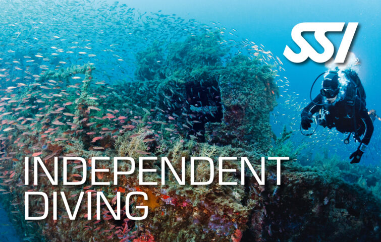 DECOSTOP SSI INDIPENDENT DIVING