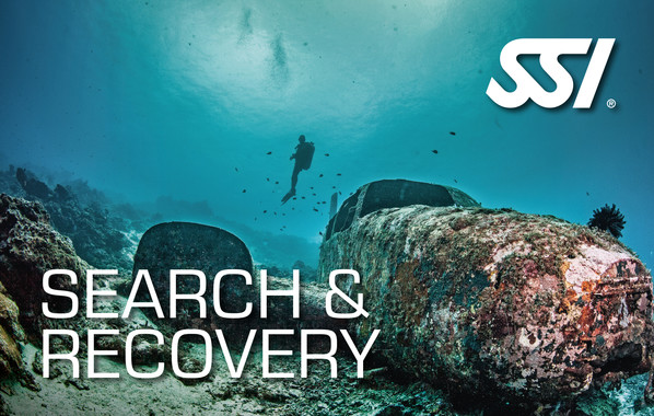 DECOSTOP SSI Search & Recovery