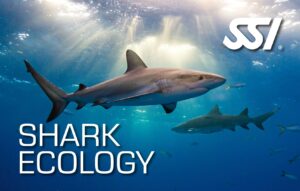 DECOSTOP SSI SHARK ECOLOGY